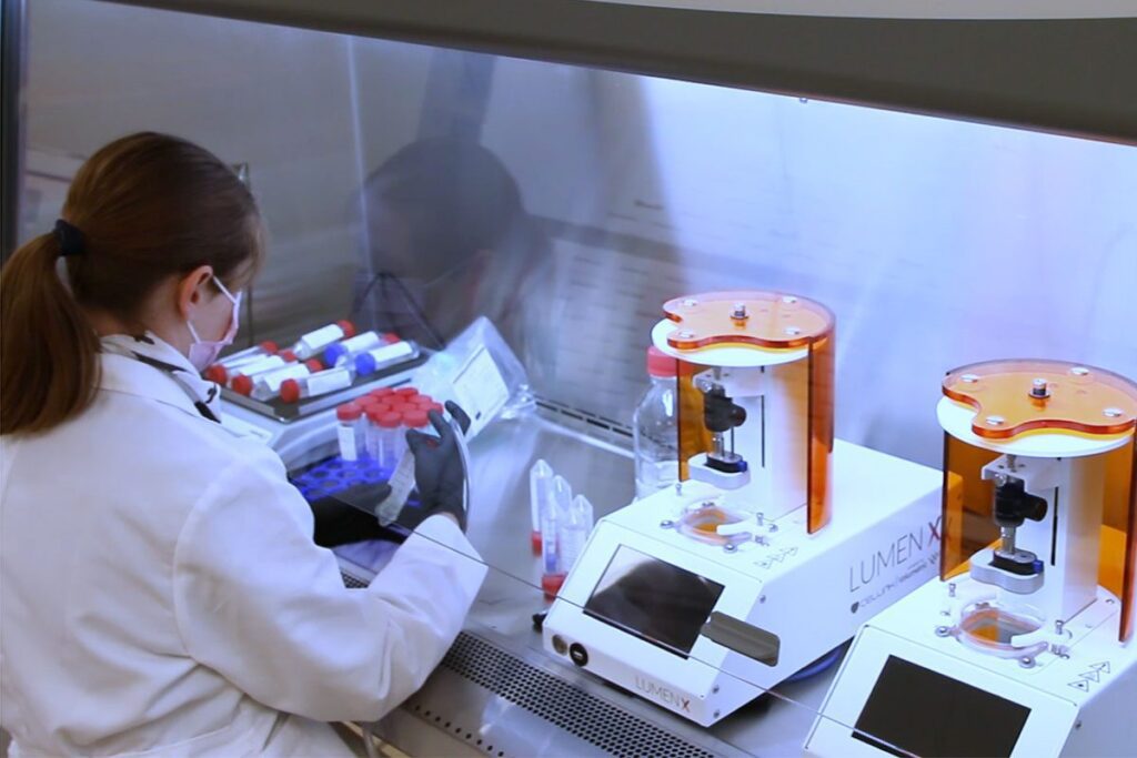 stem cell t blocks produced on lumen X 3D bioprinter
