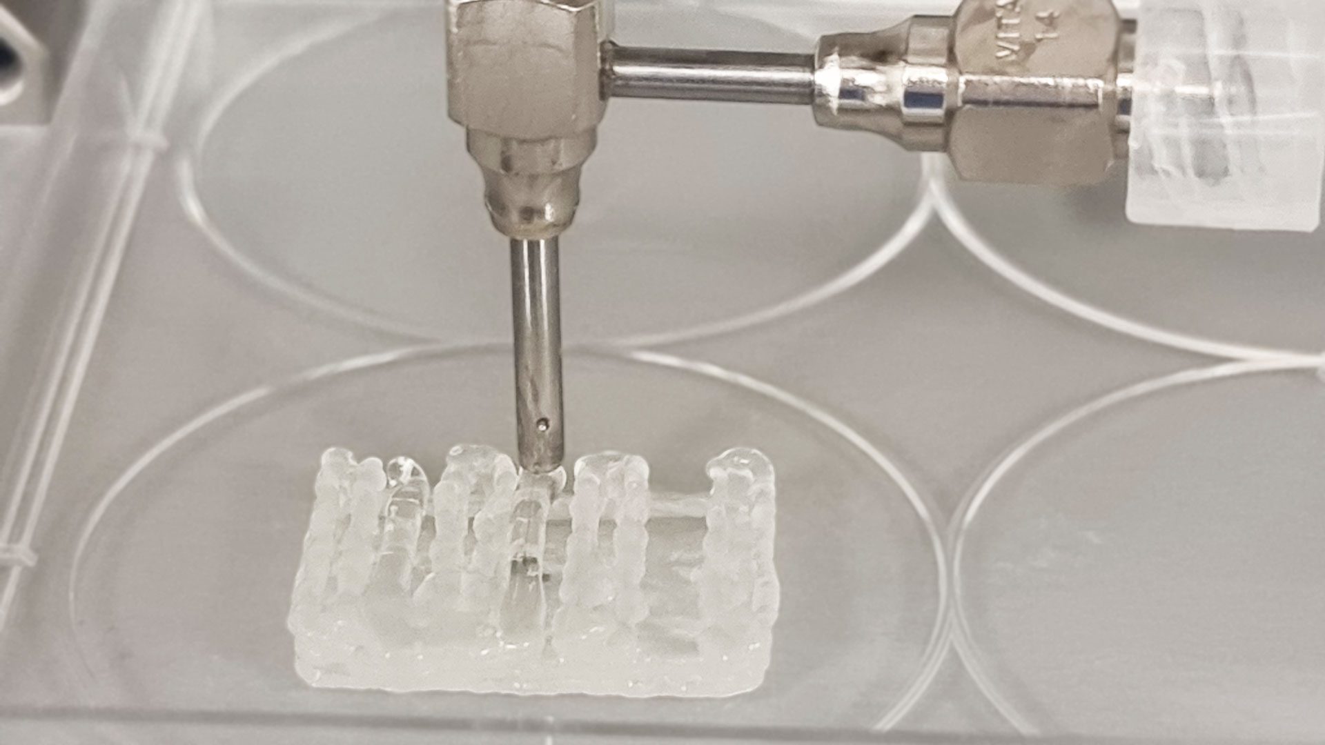 3D Bioprinting Of A Complex Skin Construct Using The BIO X6 Bioprinter ...